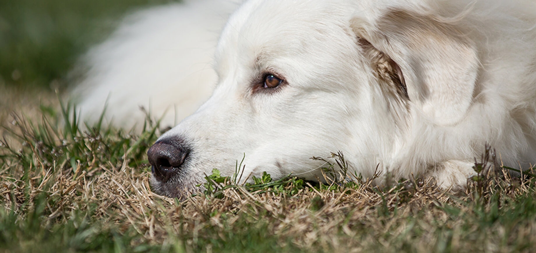 How to deal with problem behaviour