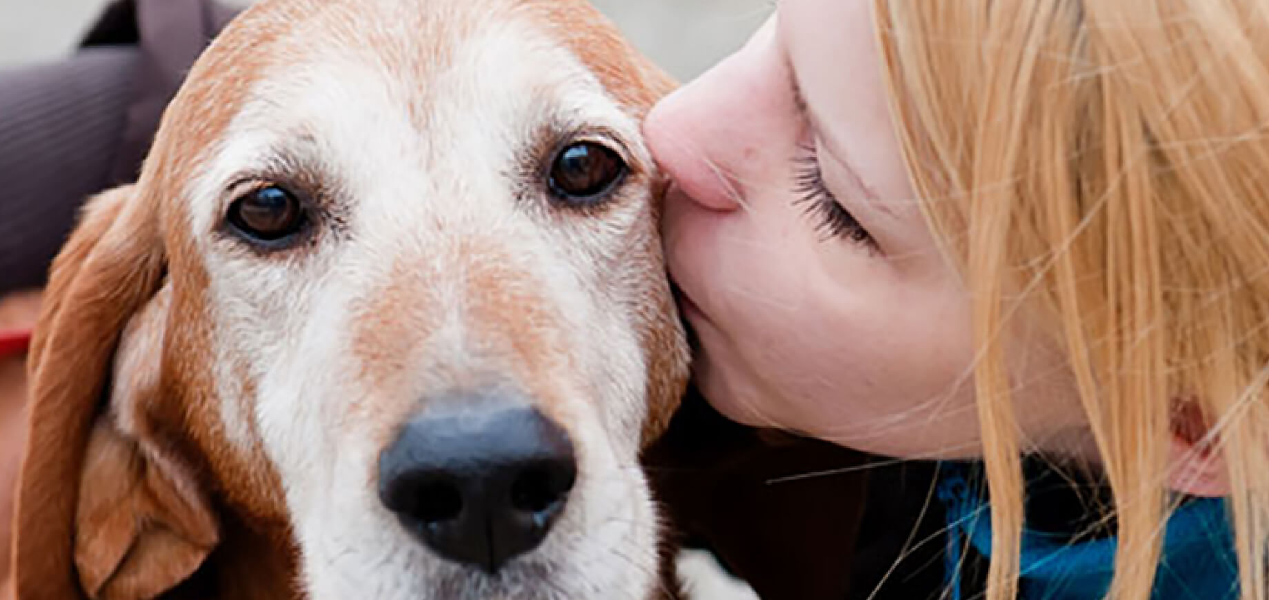 Reading your dog's body language