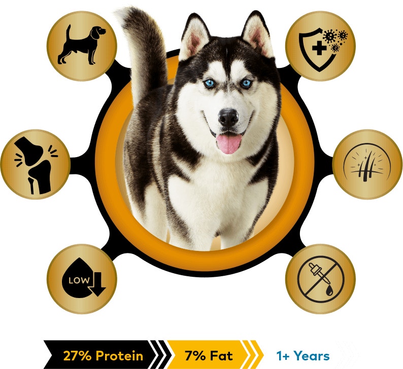 pro medium and large keep up with your