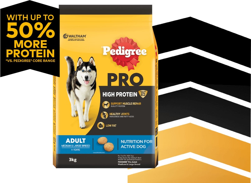 pro medium and large hero