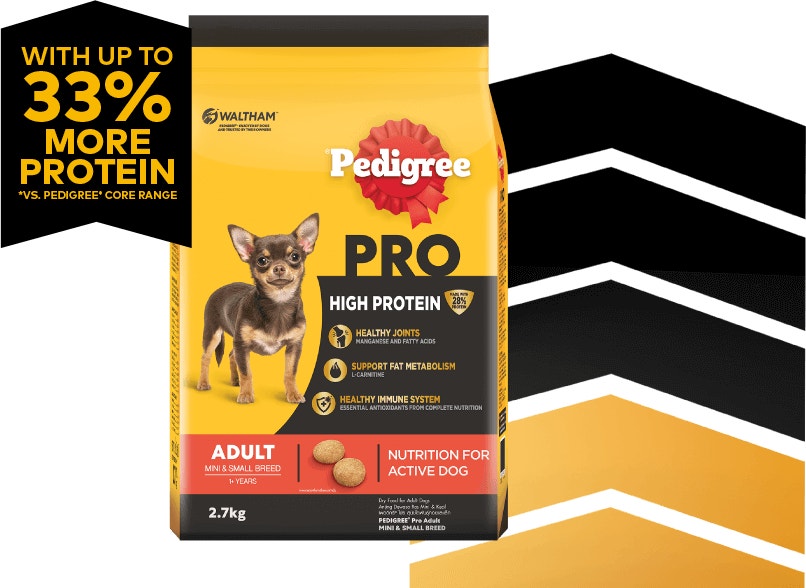 pro mini small breed