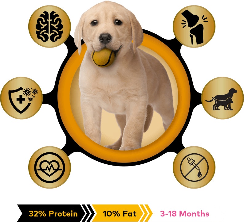 pro puppy keep up with your