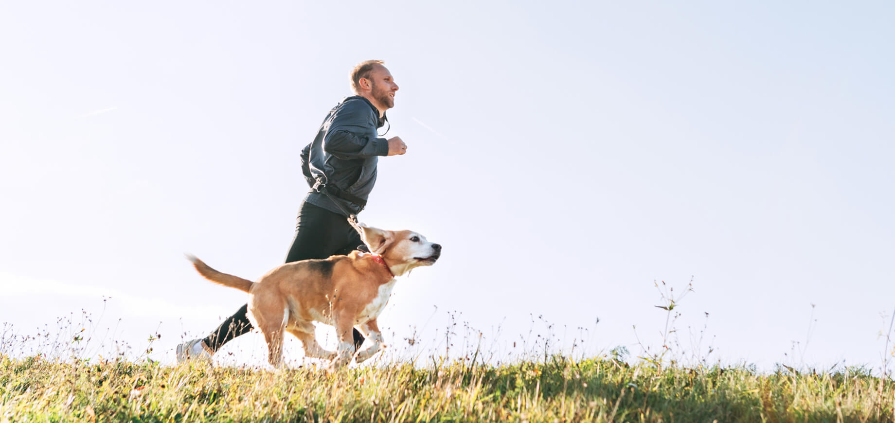 Create A Puppy Schedule & Daily Routine For Puppies