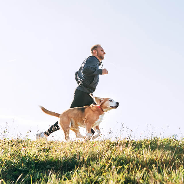 Create A Puppy Schedule & Daily Routine For Puppies