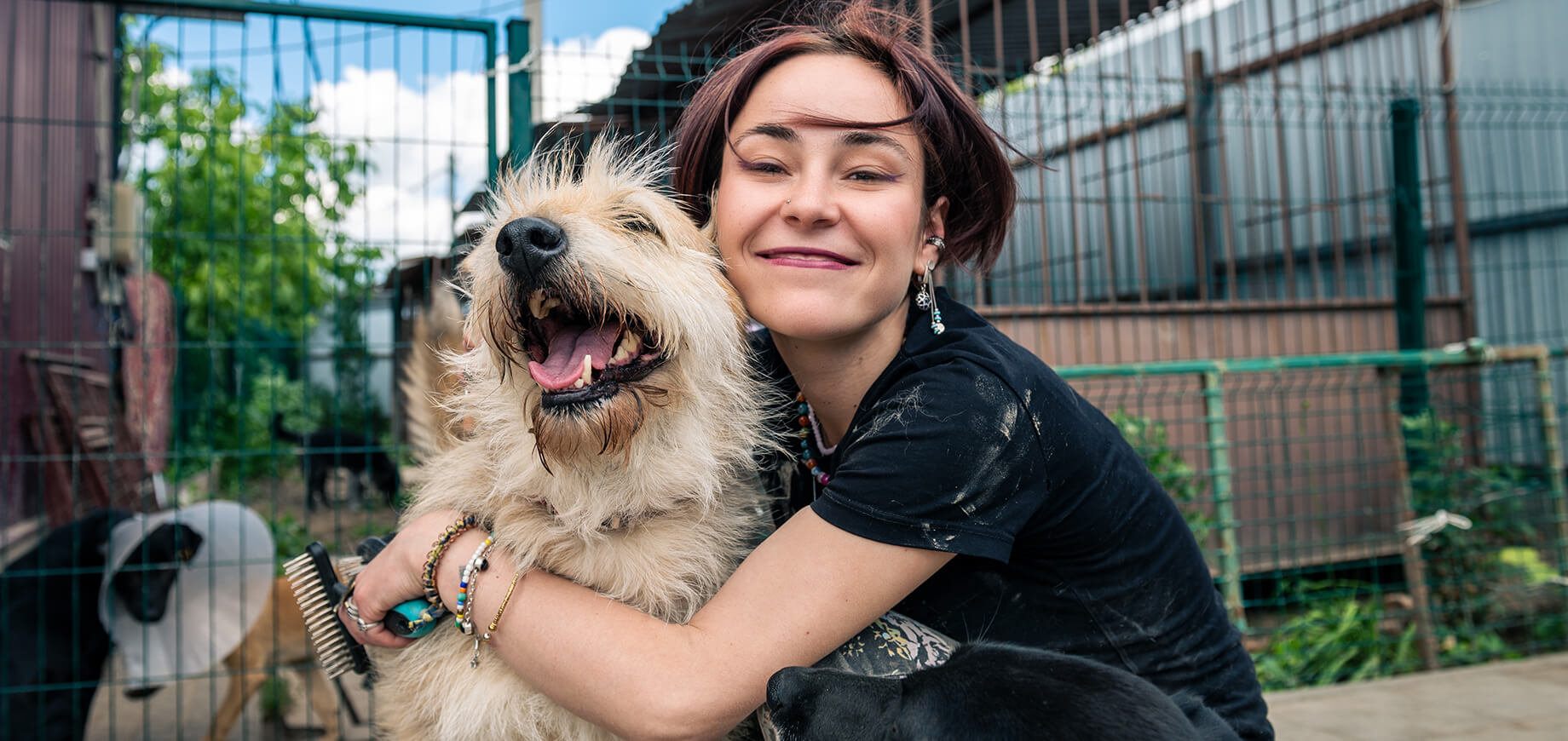 Dog Adoption: A Complete Guide For Beginners