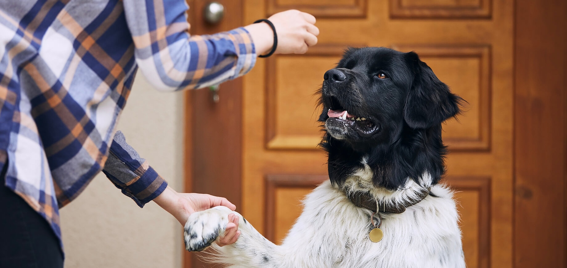 Crate Train Your Puppy: 5 Easy Steps
