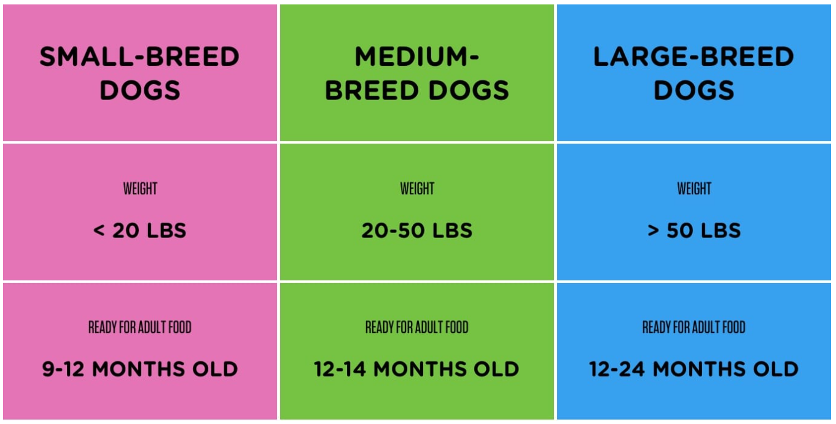 Feeding Period Based on Breed Size